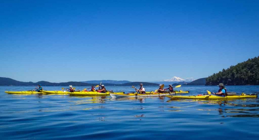 a line of yellow kayaks paddle on calm blue water on an outward bound trip